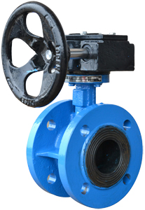 D341J法蘭襯膠蝶閥