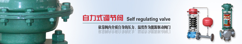 自力式調節閥