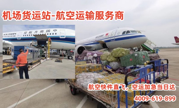 微信圖片_202304041552538_副本