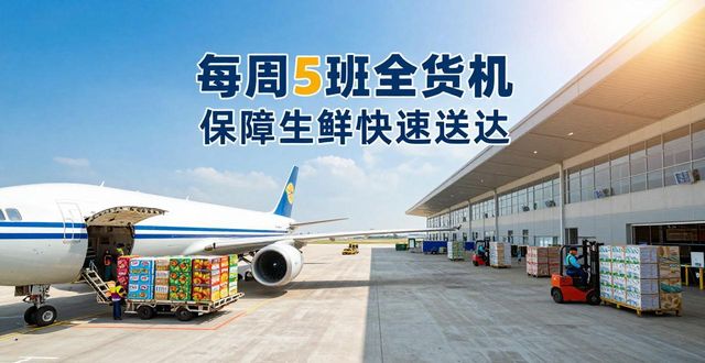 航空貨運機場_貨運機場一般多大面積_機場國內貨運